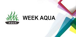 Week Aqua